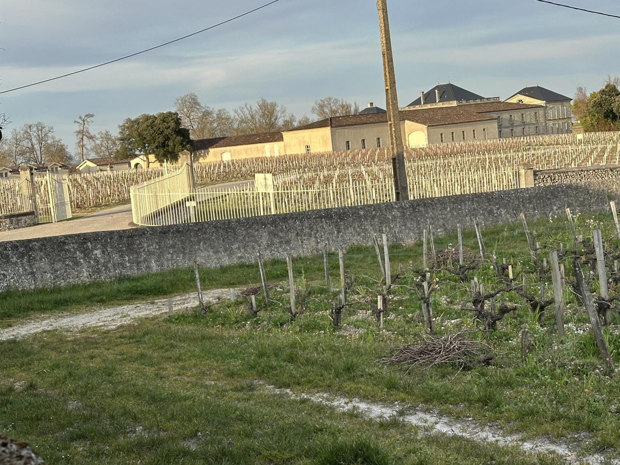 Maison Jeroboam Saint-Estèphe المظهر الخارجي الصورة